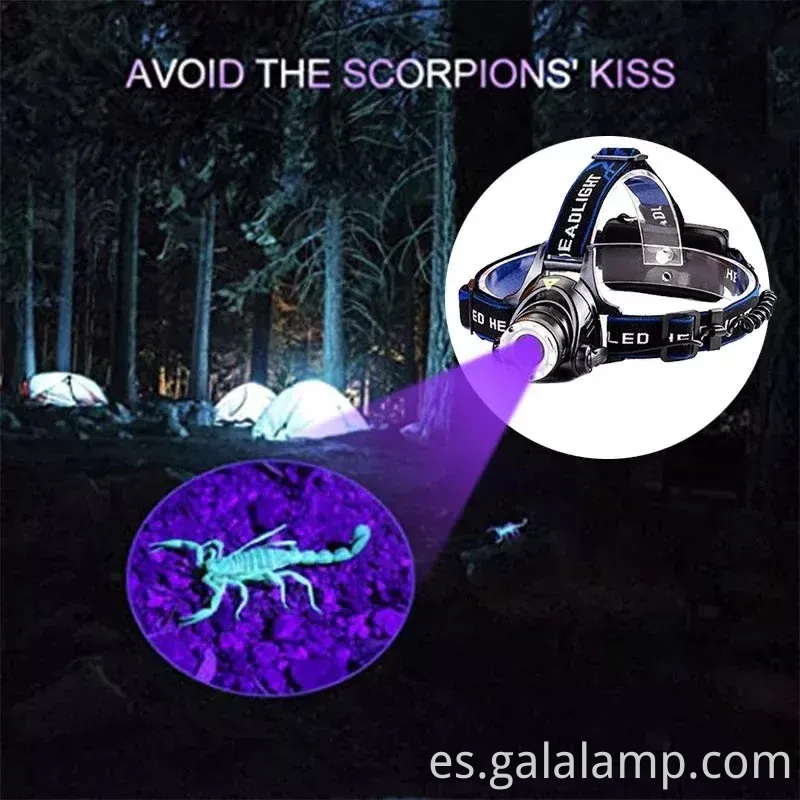 Faros UV recargables con 395 nm LED para pesca nocturna y caza de escorpiones